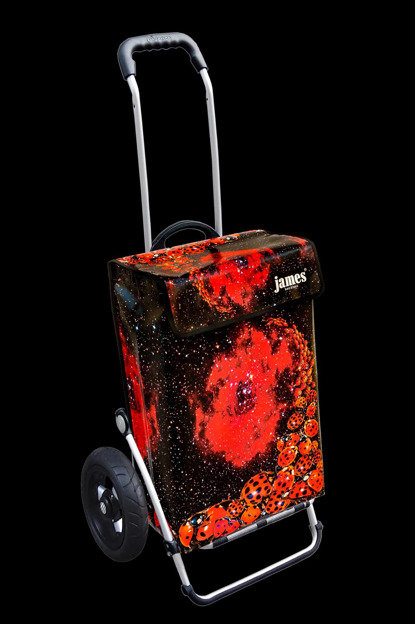 Ladybird-James®