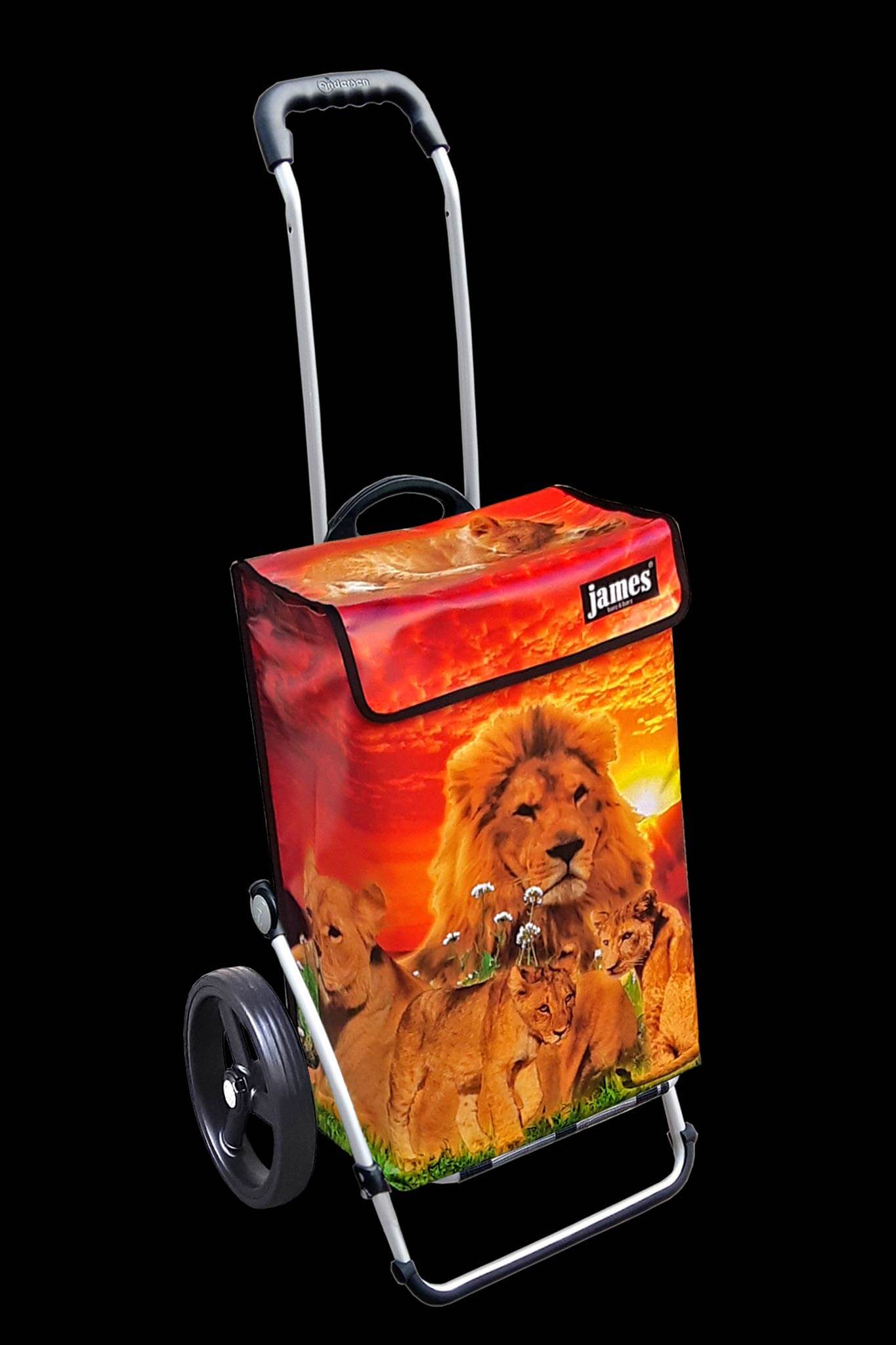 Lion-James®