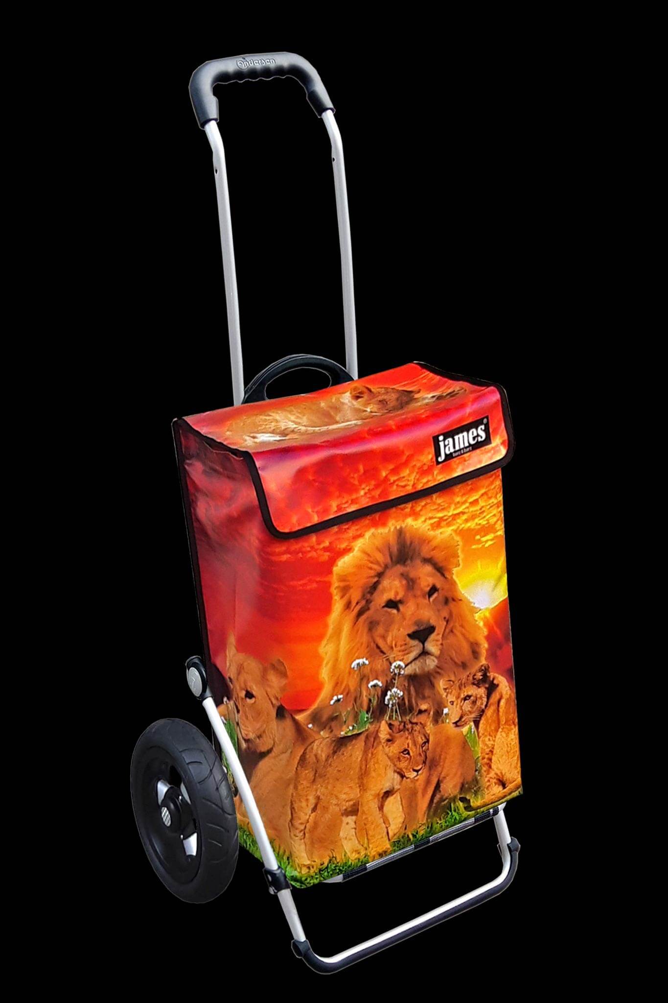 Lion-James®