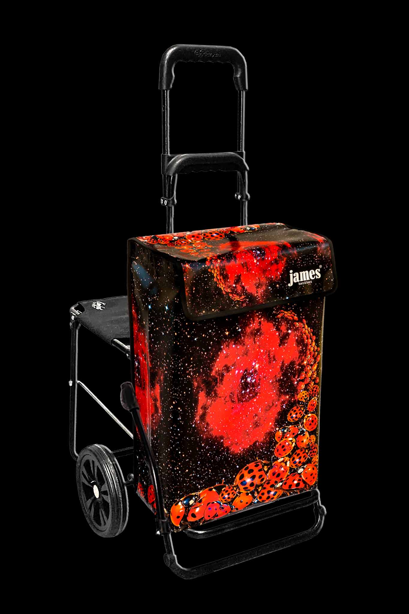 Ladybird-James®