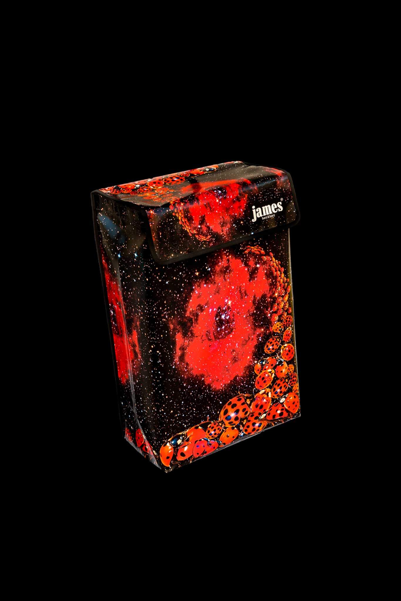 Ladybird-James®