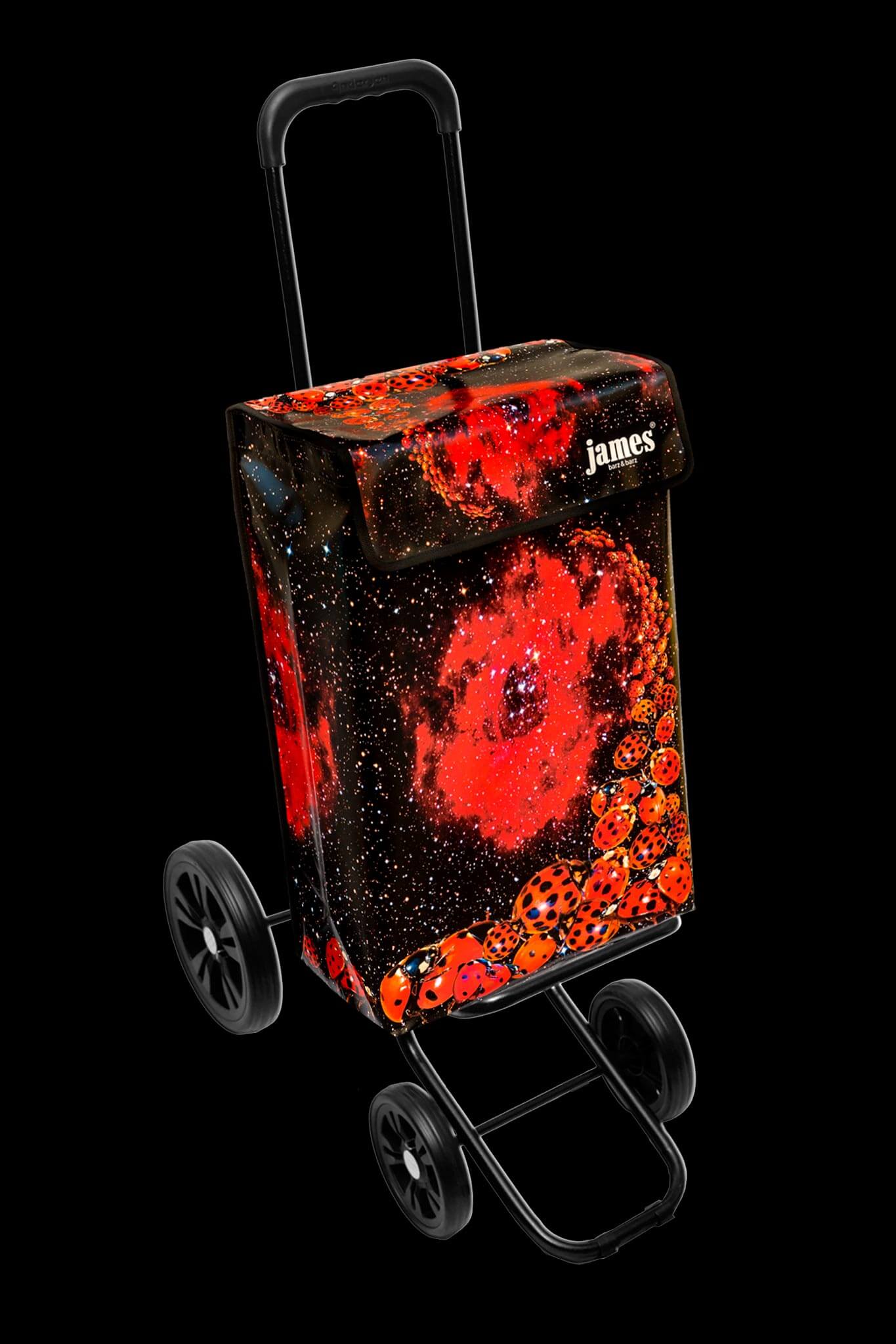 Ladybird-James®