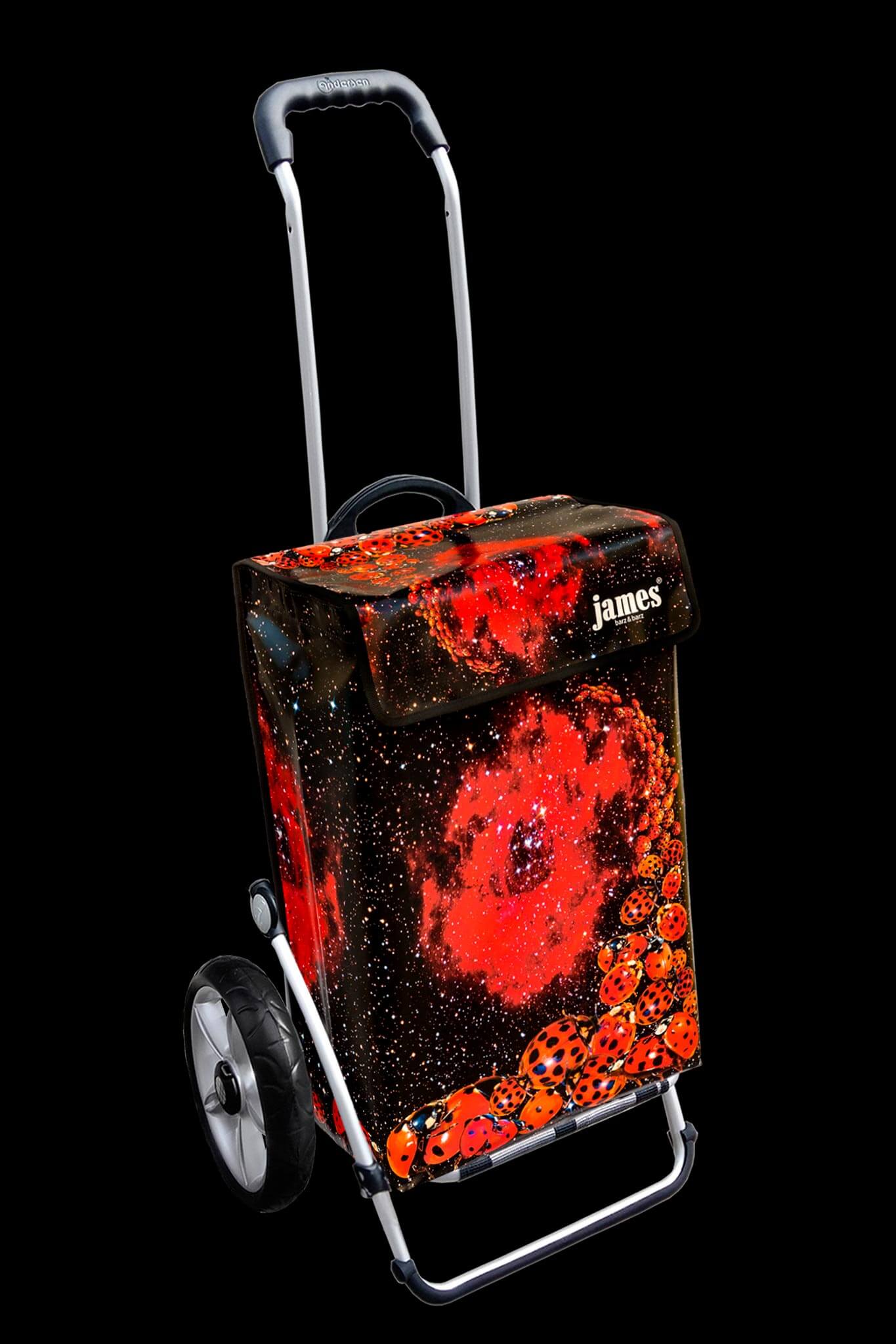 Ladybird-James®