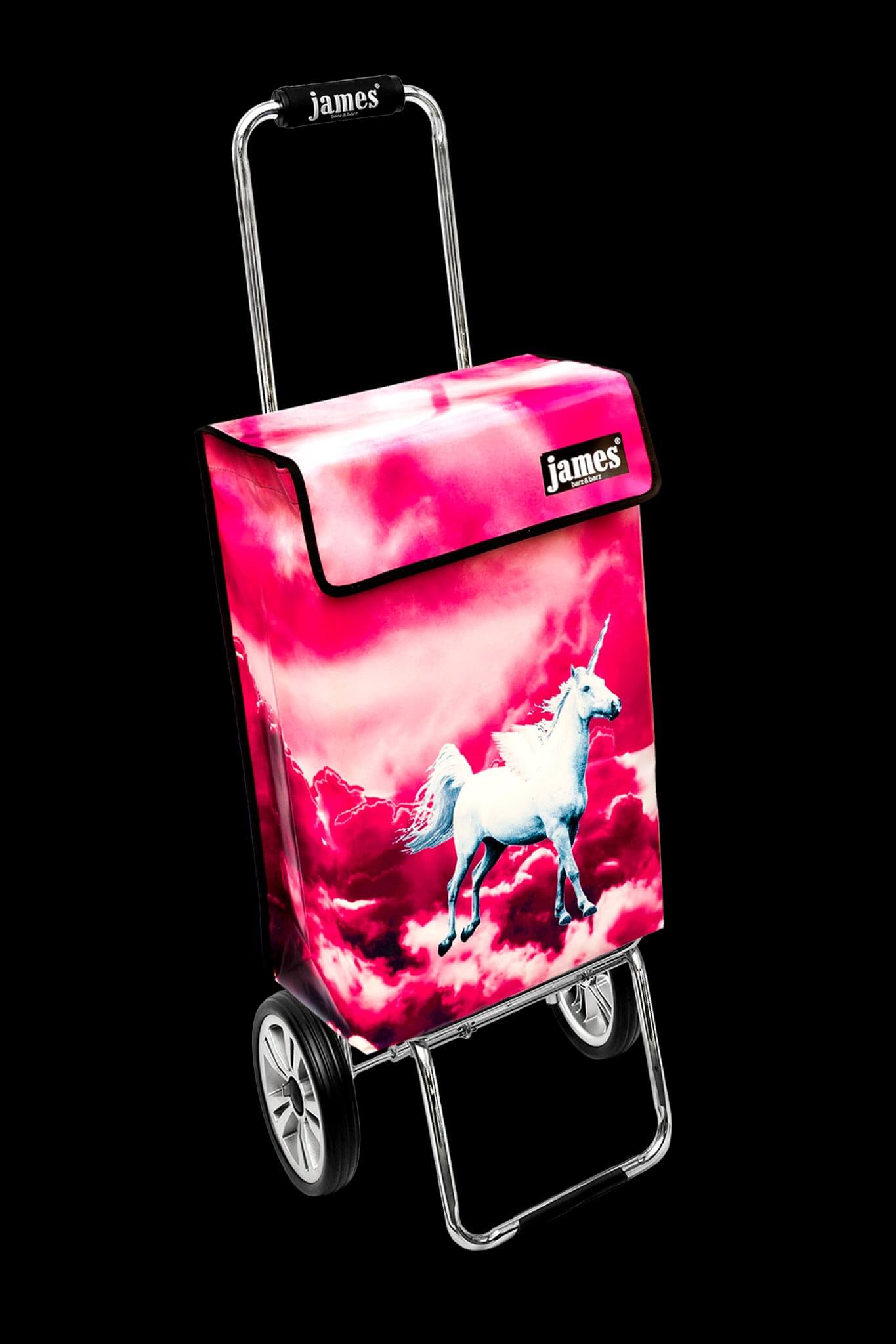 Pegasus-James®