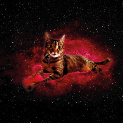 Das Buch: Sombali - Prinz von Mus-Cat