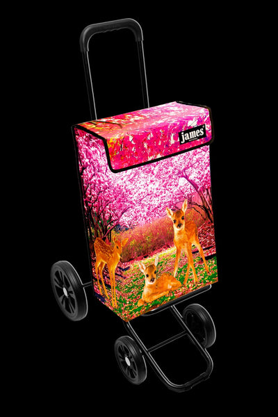 Bambi-James