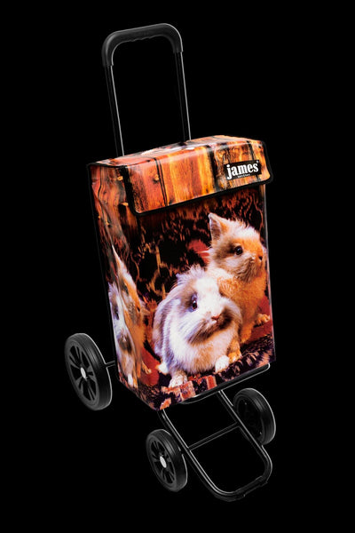 Bunny-James