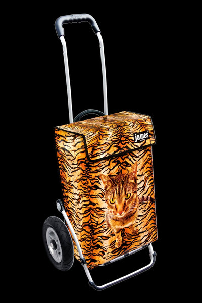 Wildcat-James